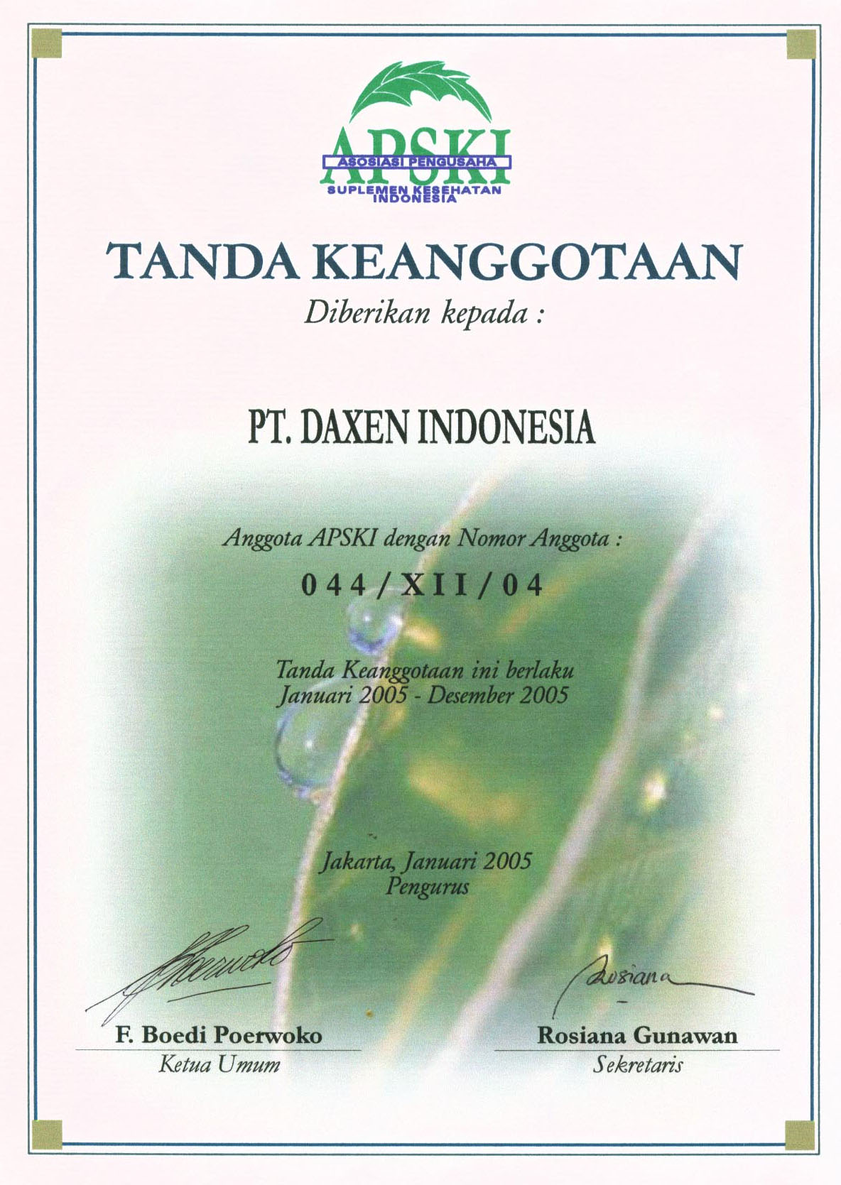 DXN